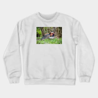 Mandarin Duck II / Swiss Artwork Photography Crewneck Sweatshirt